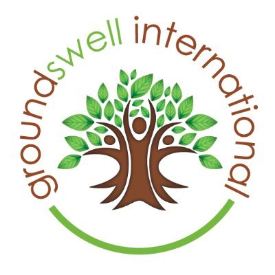 Groundswell International
