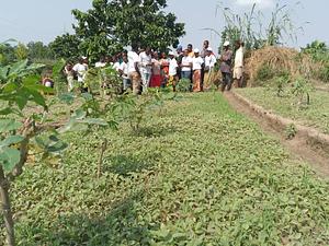 school field training