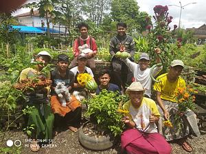 Students Is Harvesting Everyday Ambudantly