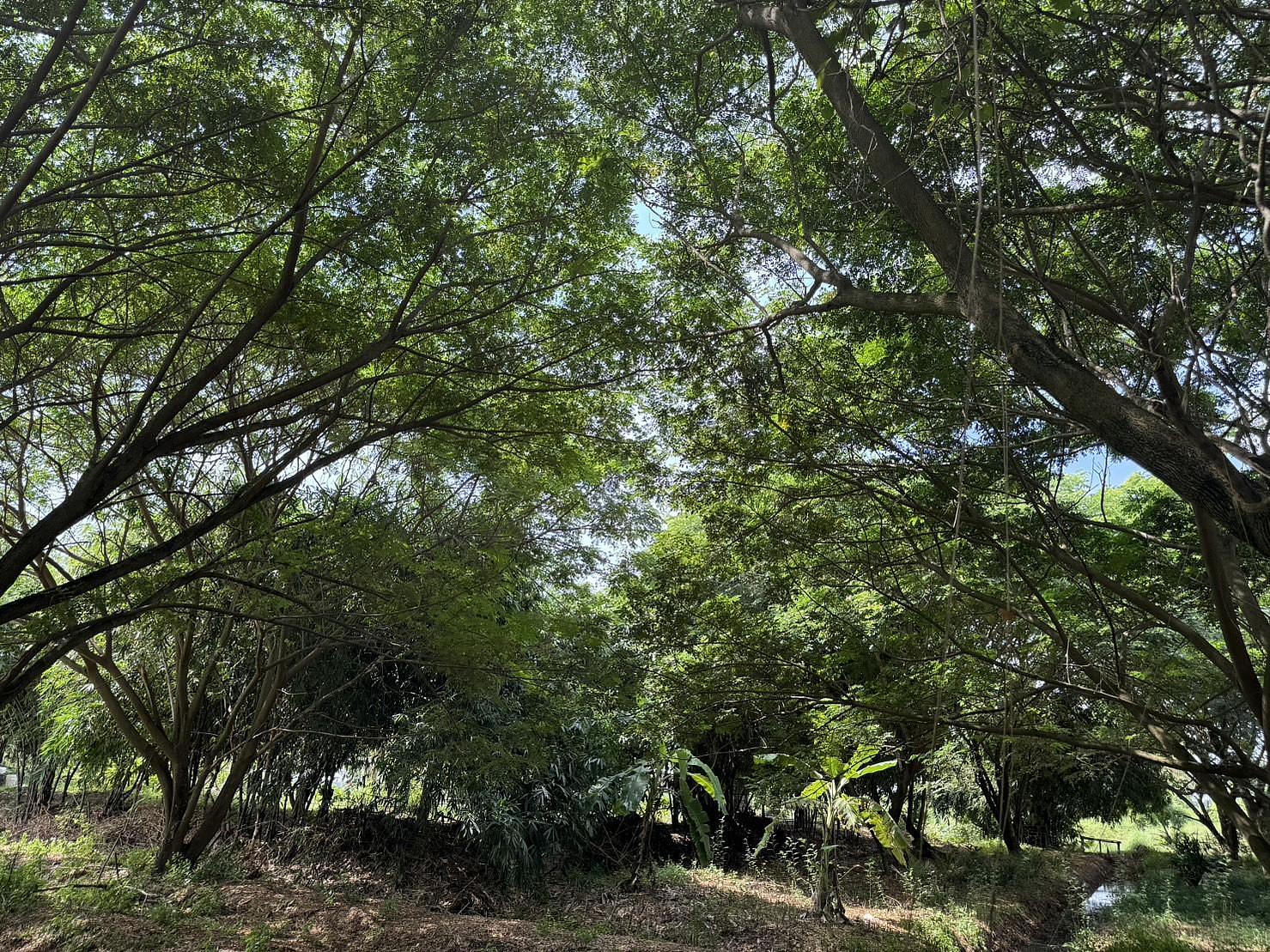 BTLLAgroforestry & FoodInnovate