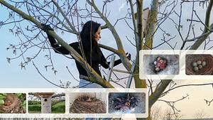 With birds