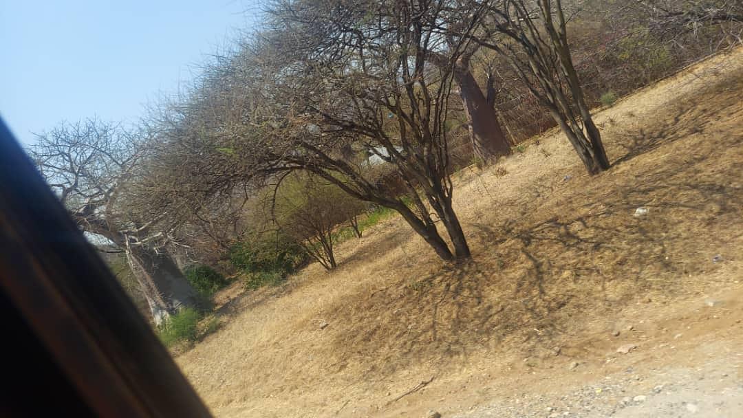 Marange