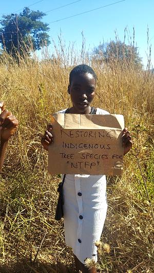 Earlier participants in indigenous tree reforestation activies.