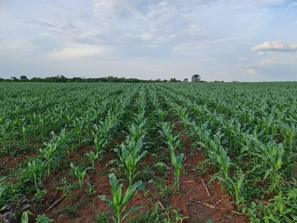 Upper west ,Wa