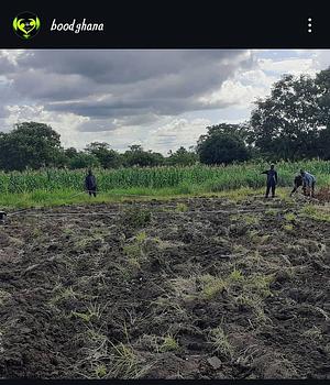 Conservation Agriculture