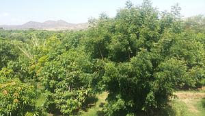Image of her farm at a glance