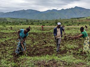 popularization of agroecological practices