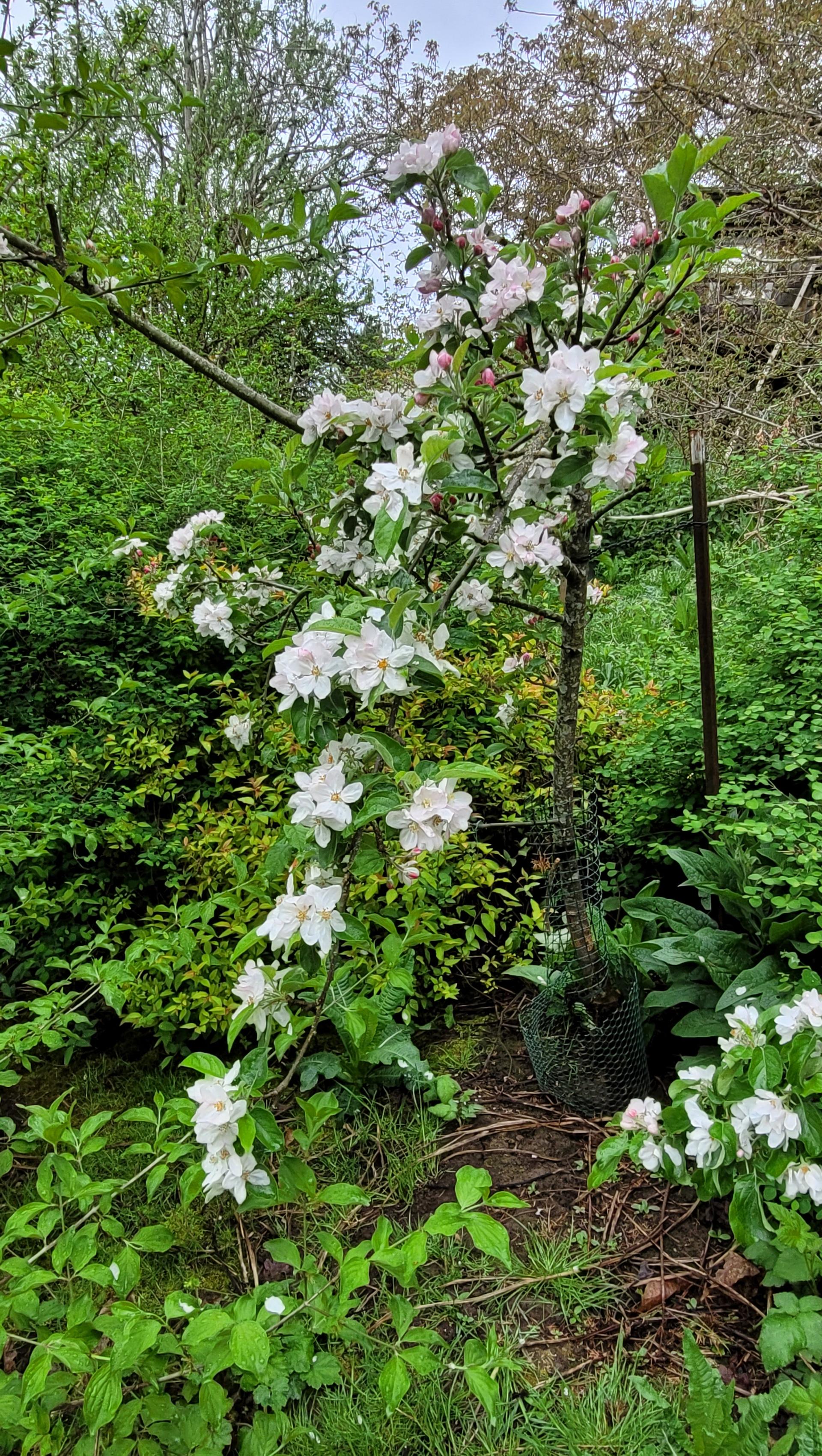 Permaculture