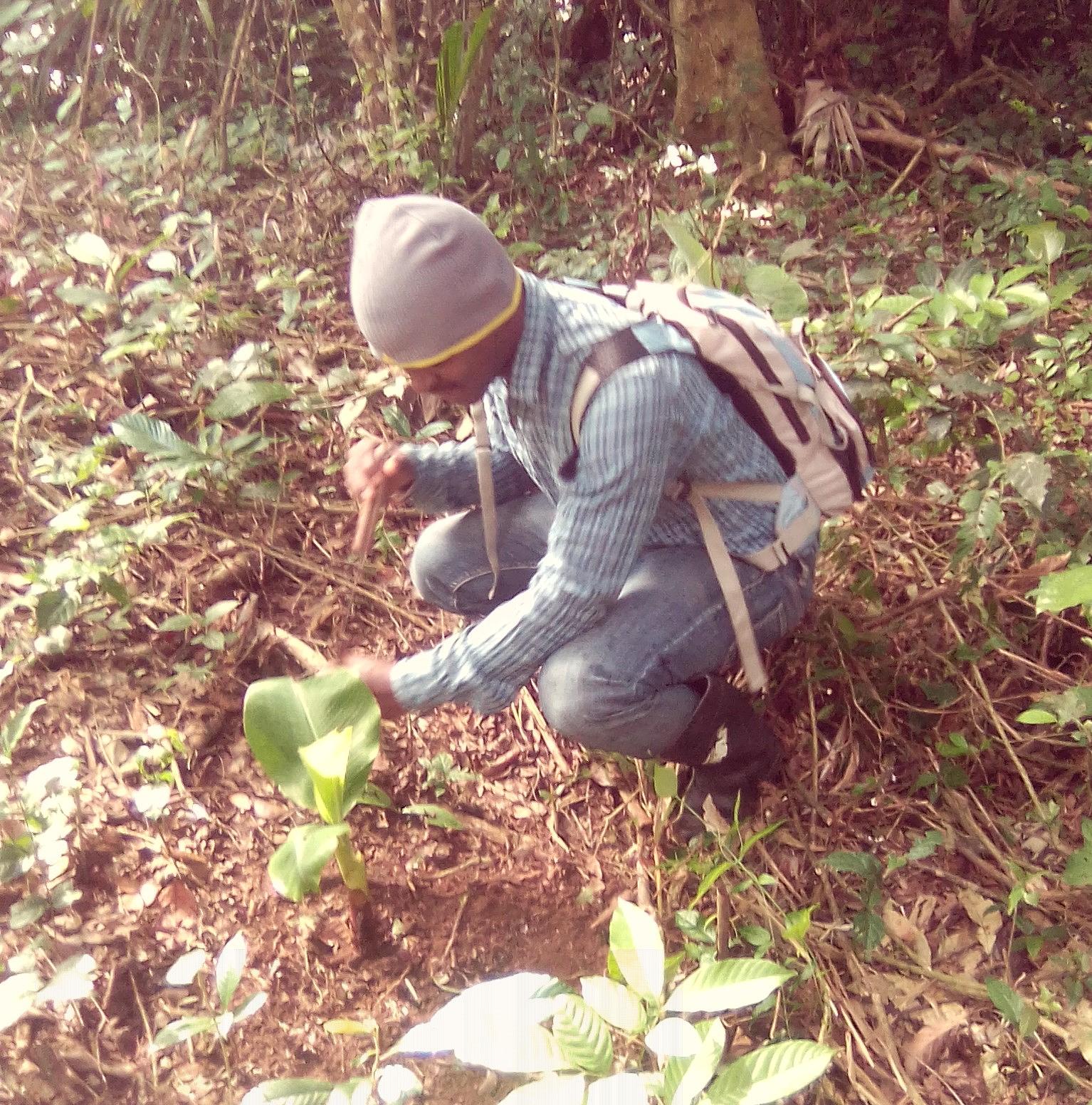 Agroecologie-inovation