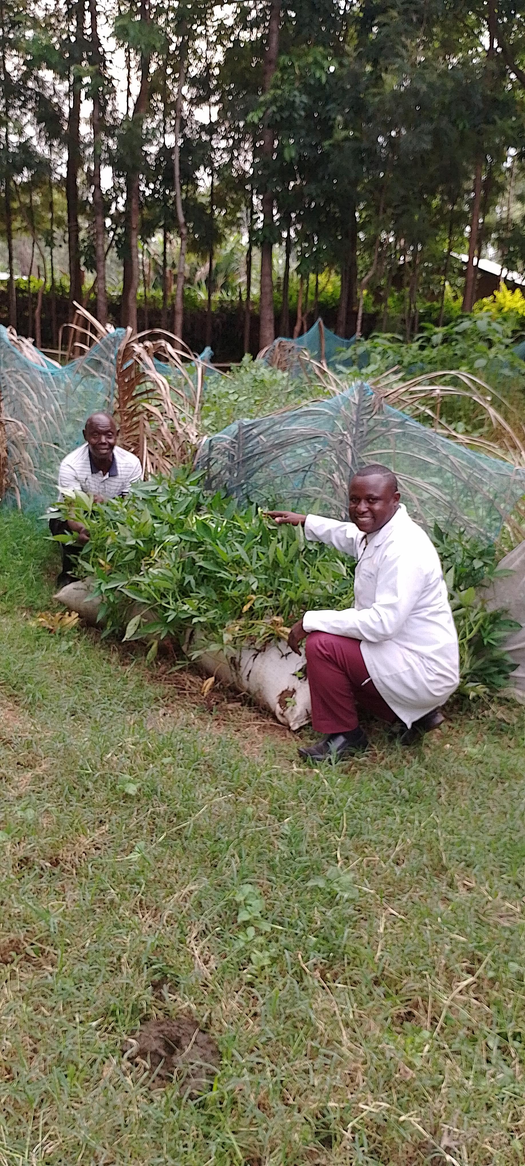Martin Odhiambo