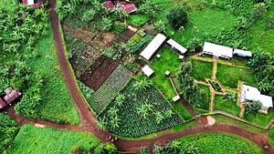 Agro Ecole