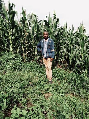 Mes fermes d’exportation pour lwathenoch,ce trouve au nord Kivu et ituri.