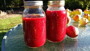 Cornelian Cherry Jam
