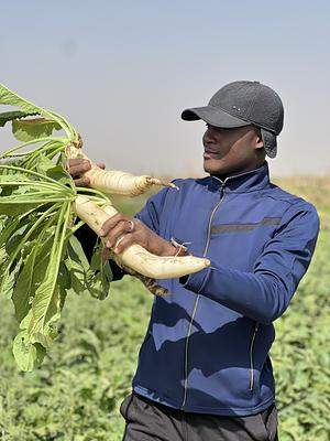 Organic Agriculture