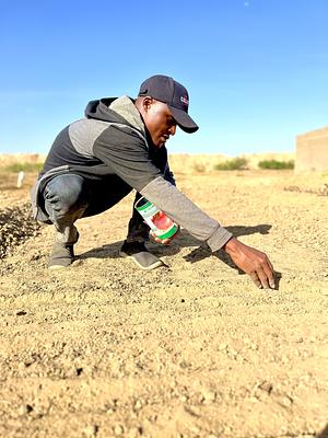 Organic Agriculture