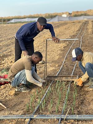 Organic Agriculture