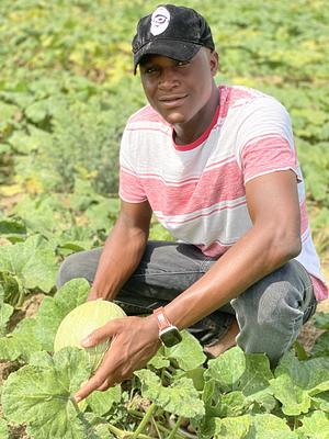 Organic Agriculture