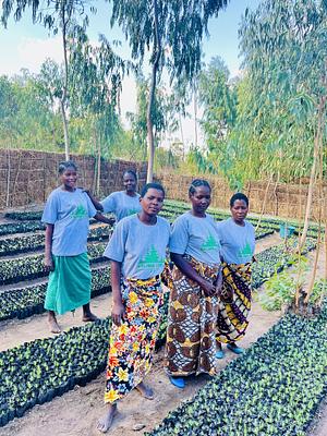 Part of the women we are empowering through our pine tree seedlings nursery.