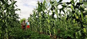 Maintaining soil health and increasing resilience to climate change