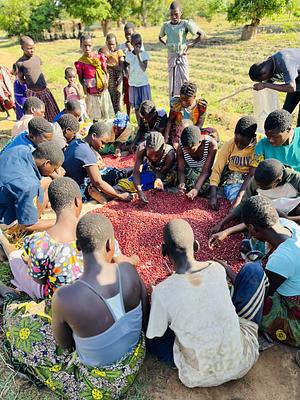 Part of our mixed crop farming, groundnuts grading for planting and empowering our community.