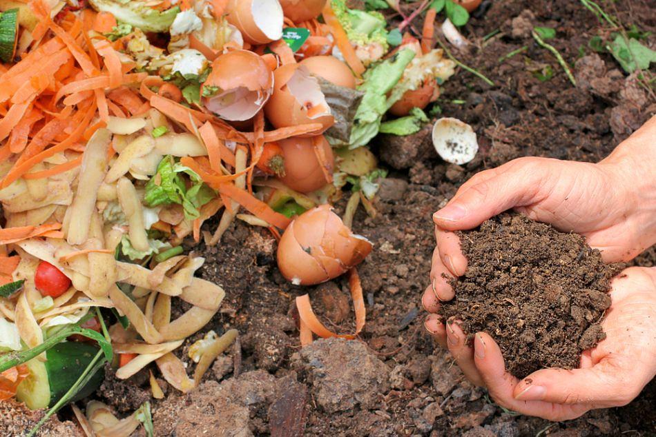 The transformation of vegetable waste into organic fertilizers.