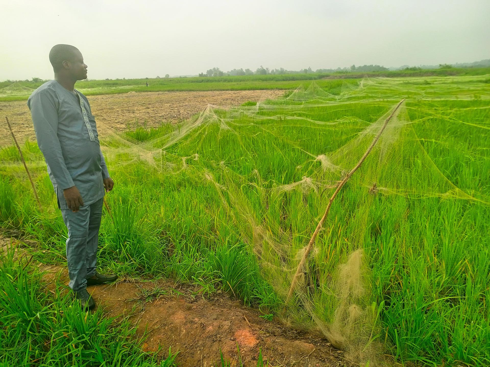 Zone agroécologique de Zinvié : Vallée de l'Ouémé