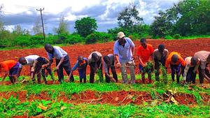 Magarini Primary School Children Training