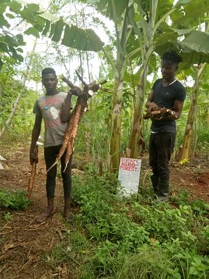 Agroecology