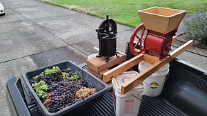 Pressing Grape Juice