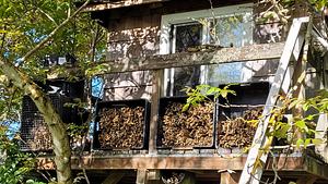 Osmia Lignaria Nesting Tubes. They Filled 5,000 Tubes This Year.