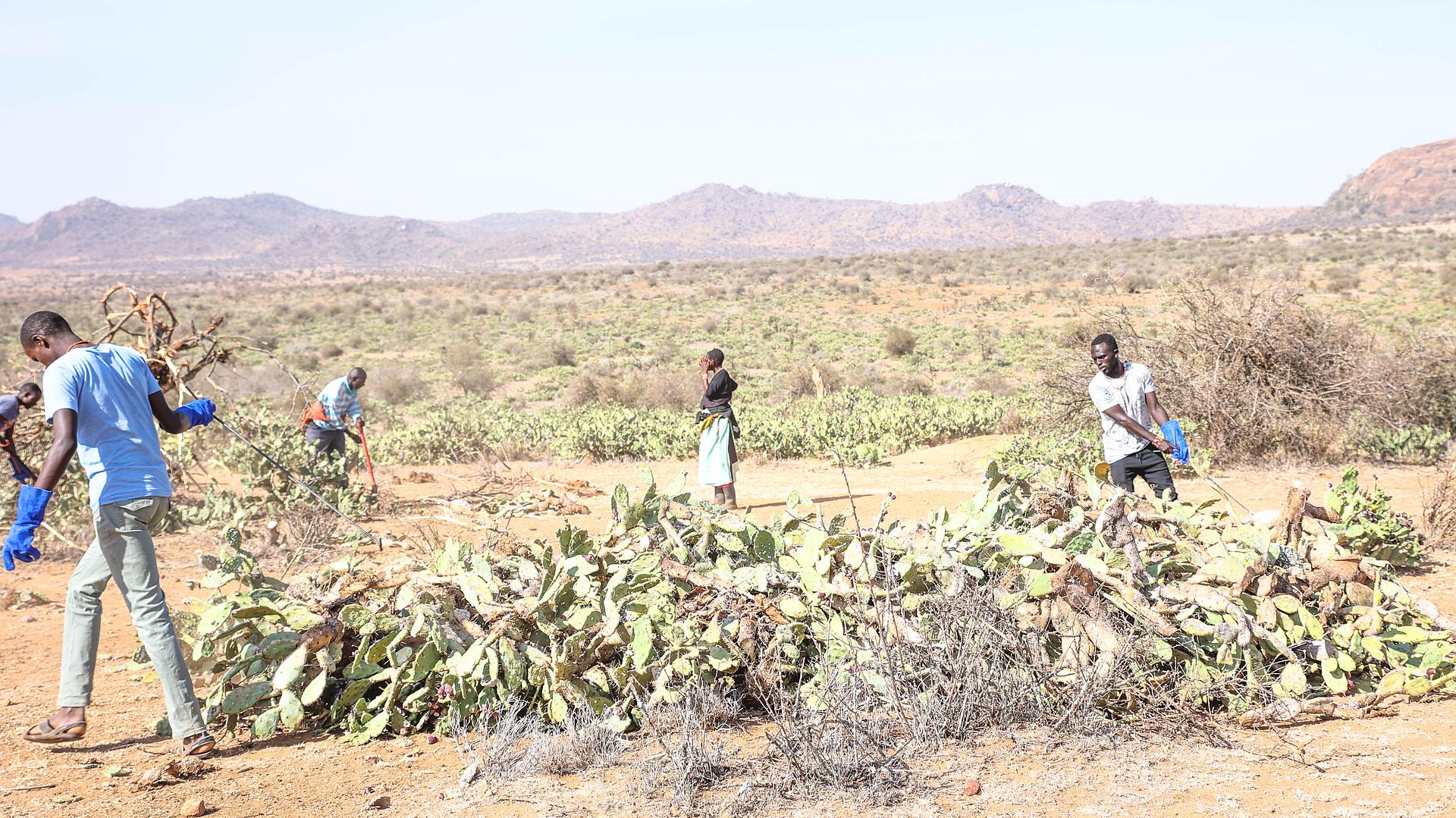 Samburu, Laikipia, Marsabit and Isiolo