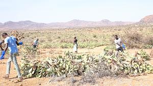 Samburu, Laikipia, Marsabit and Isiolo