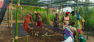 GROW West Africa
