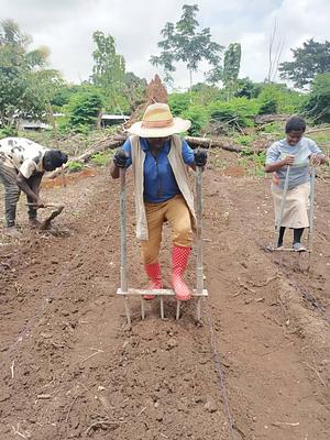 GROW West Africa