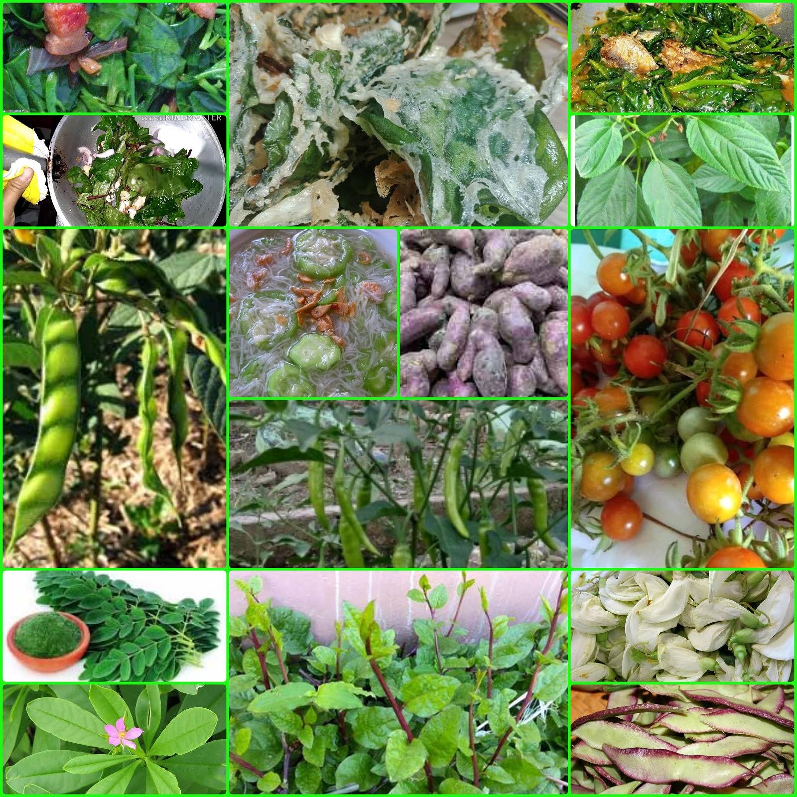 organic farming.
