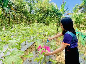 Coffee demo farm and Vegetable Garden
