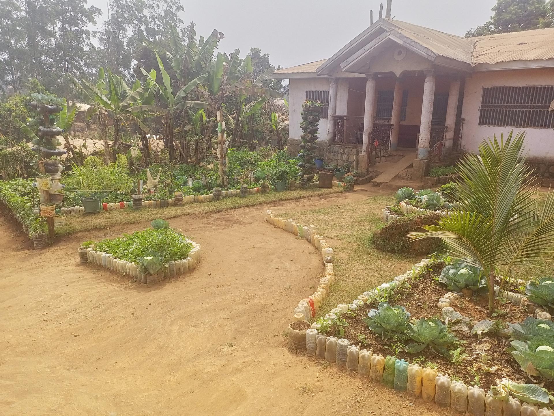 Oasis Urban Garden and Landscaping Alakuma, Mankon, Bamenda