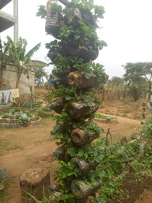 Urban Gardening  and Landscaping