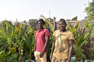 FAO Senegal RIPOSTES