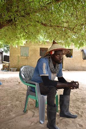 FAO Senegal RIPOSTES