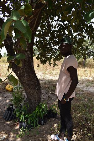 FAO Senegal RIPOSTES