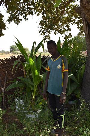 FAO Senegal RIPOSTES