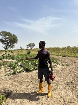 FAO Senegal RIPOSTES