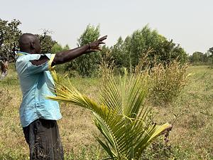 FAO Senegal RIPOSTES