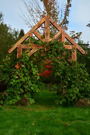 My Timber Frame Grape Arbor. Made From "Restoration Juniper".