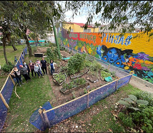 Huitaca Orchard