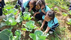 Agroecology Takes Root at Ban Panghai School, Chiang Mai, Thailand