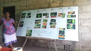 GROW West Africa