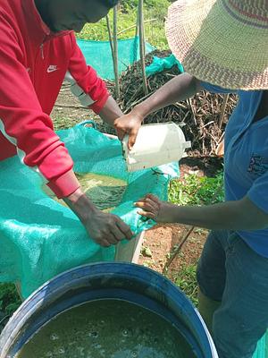 GROW West Africa