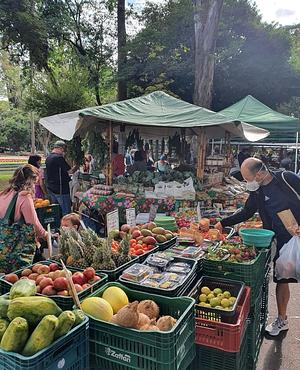 Organic street market